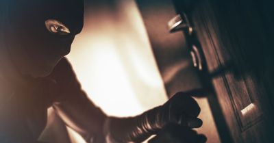 Śpiącego mężczyznę, który odpowie za włamania wytropił policyjny pies