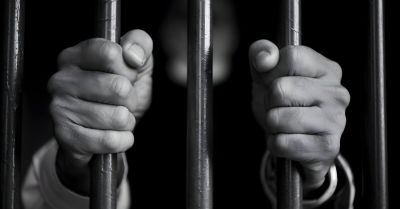 Łupem podczas włamania padło mięso i zabawka